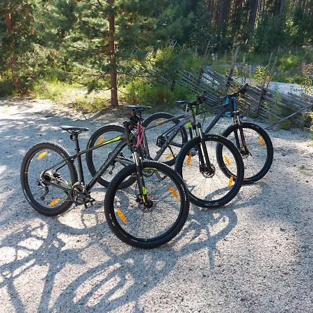 Aalto Koli Villa Koli  Luaran gambar